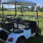 Electric Golf Cart for Sale