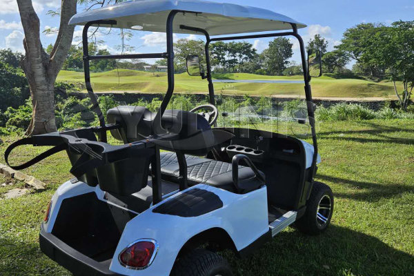 Electric Golf Cart for Sale