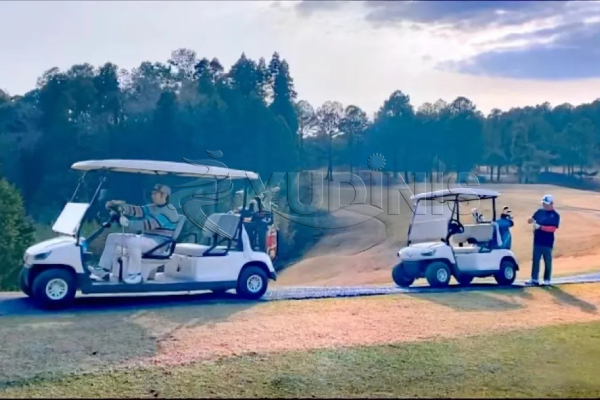 Golf Buggies Suitable for Any Place