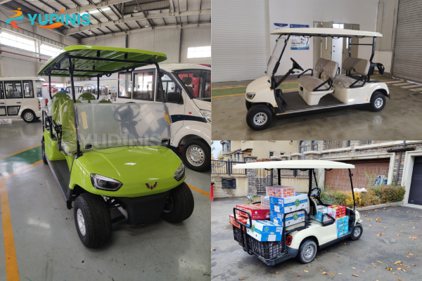 Versatile Electric Golf Carts for Sale of Different Seats